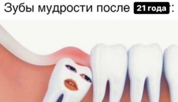 Коренные жители и суета