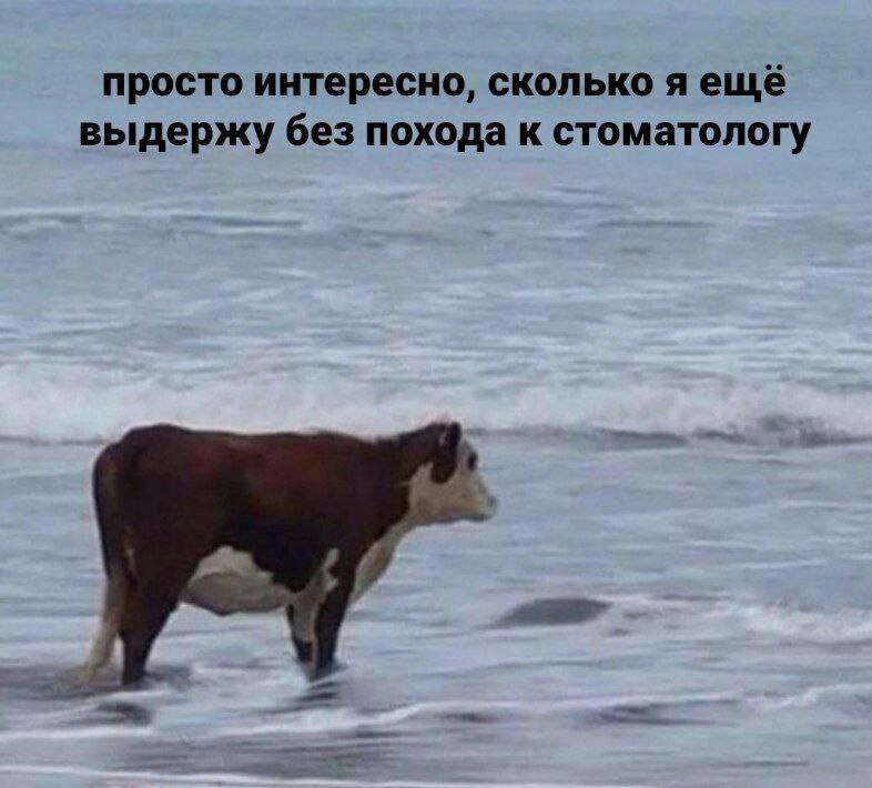 Ожидание визита к стоматологу