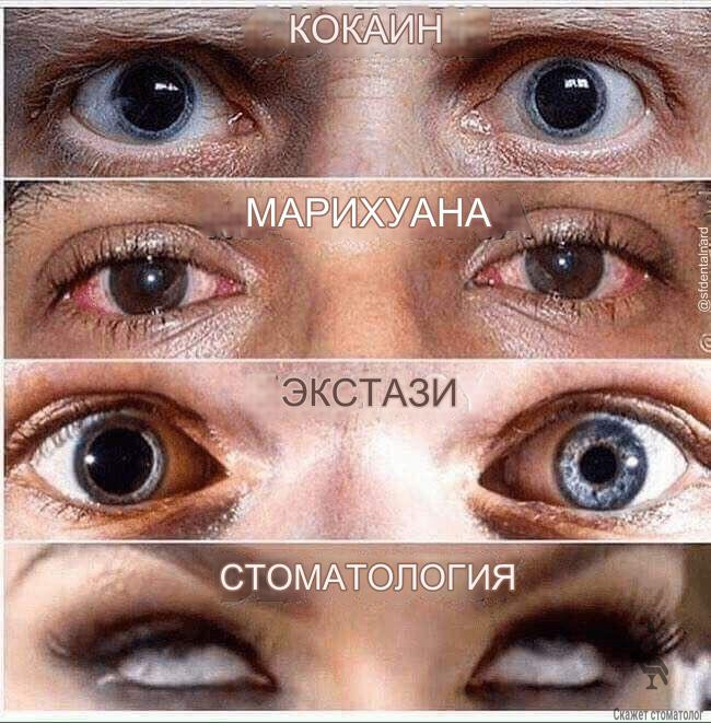 Стоматолог и его глаза