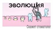 Эволюция зуба