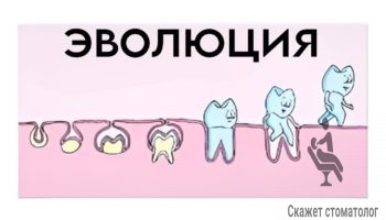 Эволюция зуба